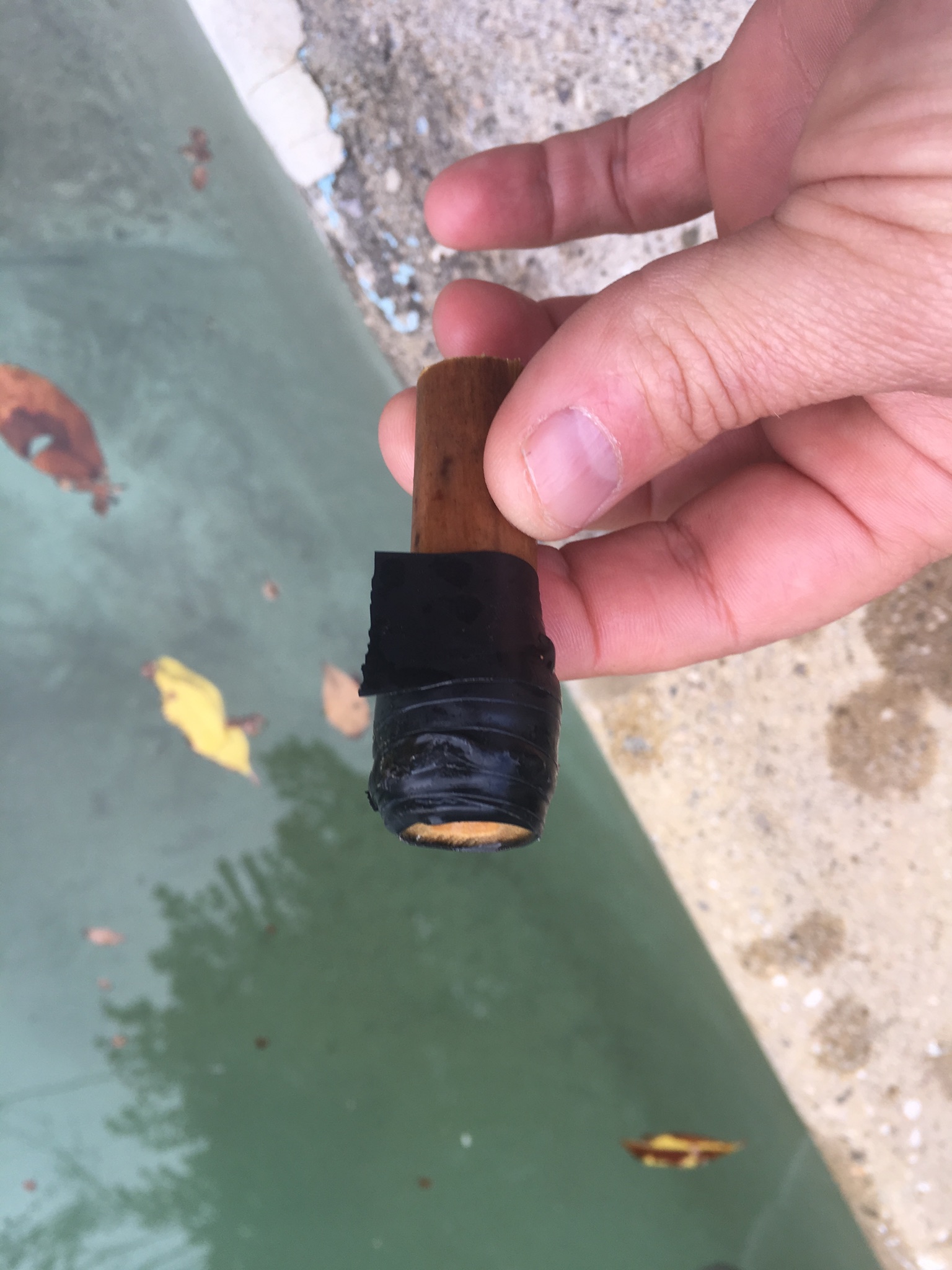 obstruction CalTech Pools 818.436.2953