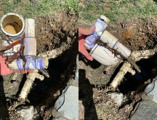 Repairing Root Damage On Spa Lines