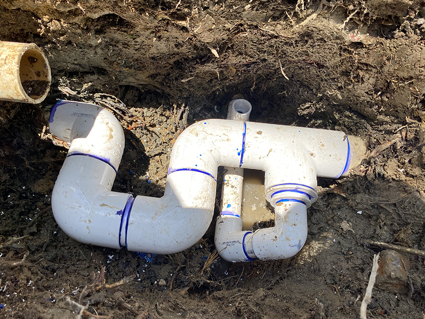 root damage – 004 root damage
