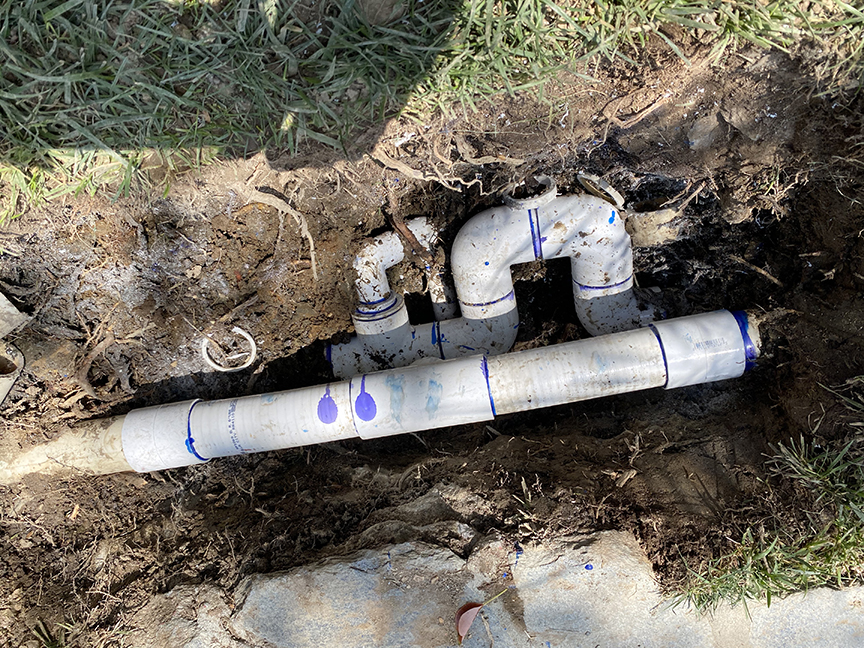 root damage – 005 root damage